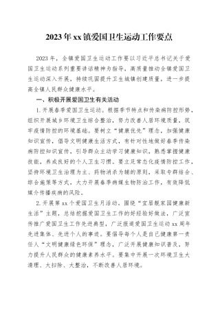 2023年镇爱国卫生运动工作要点（20230706）