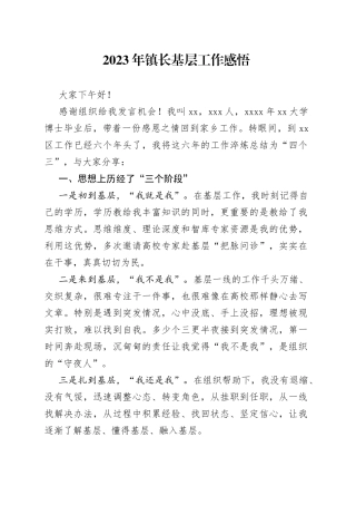 2023年镇长基层工作感悟