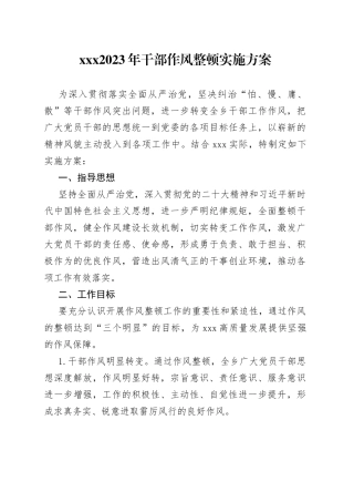 202X年干部作风整顿实施方案
