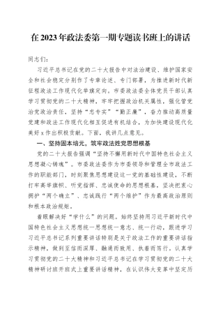 在2023年政法委第一期专题读书班上的讲话