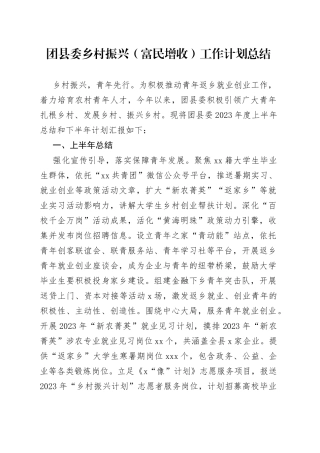 团县委乡村振兴（富民增收）工作计划总结