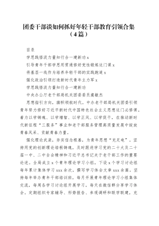 团委干部谈如何抓好年轻干部教育引领合集（4篇）