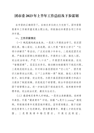 团市委2023年上半年工作总结及下步谋划