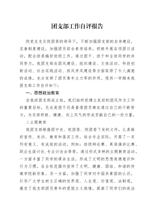 团支部工作自评报告