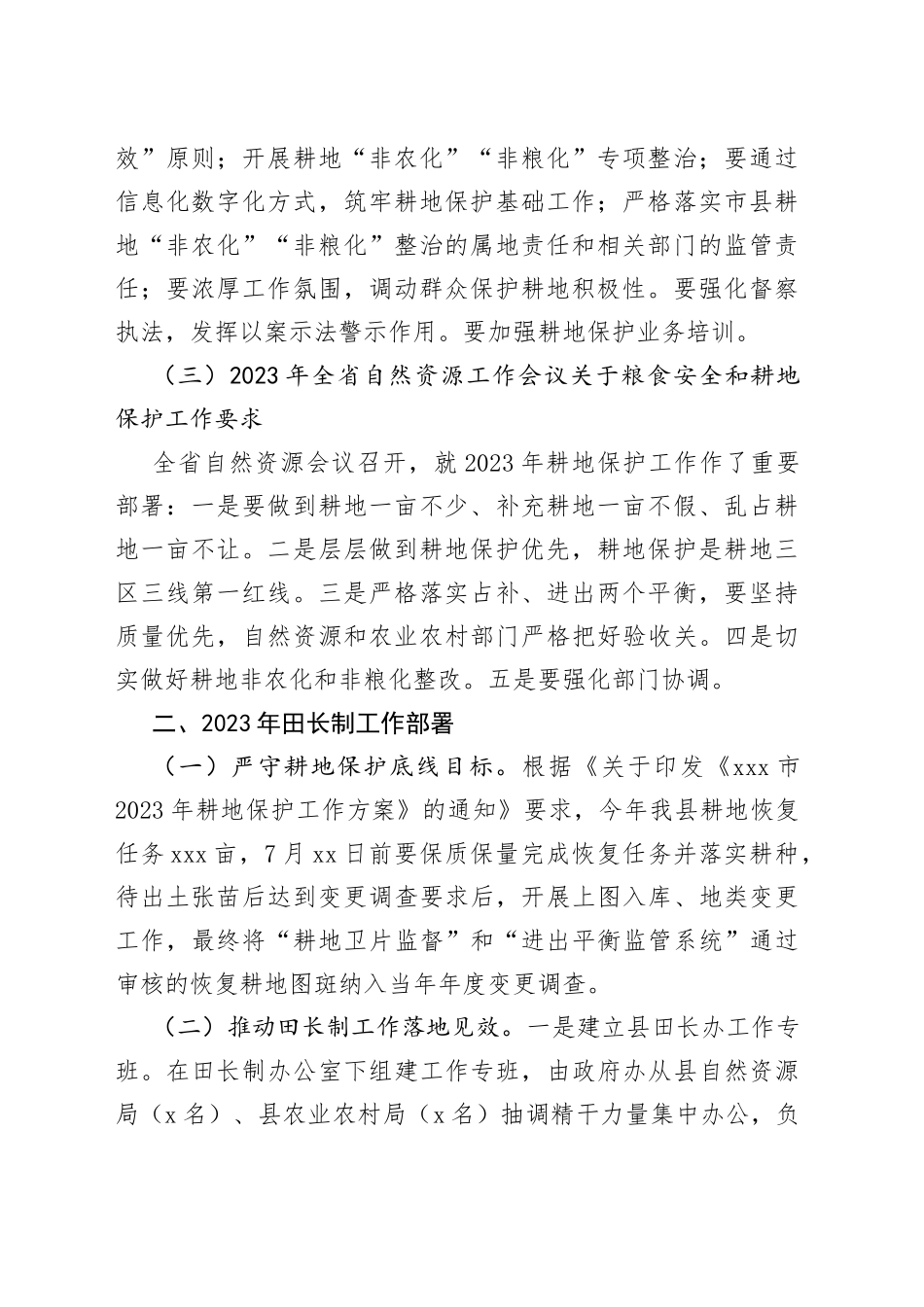 在2023年田长制工作部署会上的讲话_第2页
