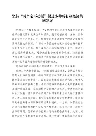 坚持“两个毫不动摇” 促进多种所有制经济共同发展