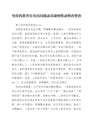坚持找准查实突出问题动真碰硬推动整改整治