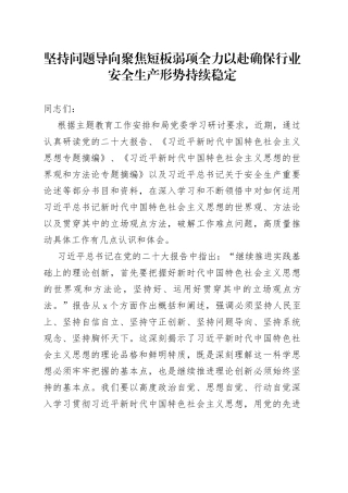 坚持问题导向  聚焦短板弱项 全力以赴确保行业安全生产形势持续稳定