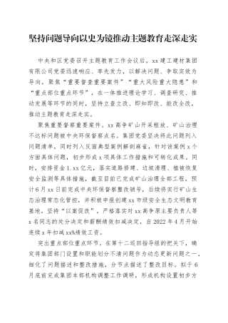 坚持问题导向 以史为镜推动主题教育走深走实