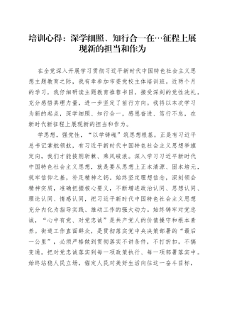 培训心得：深学细照、知行合一在…征程上展现新的担当和作为