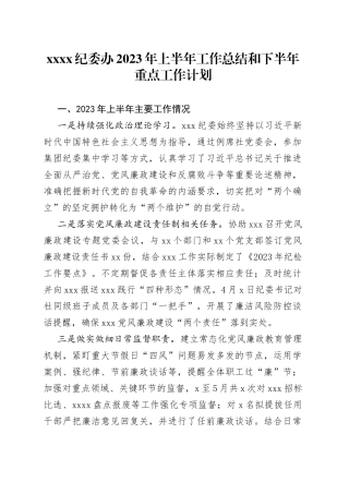 XXXX纪委办2023年上半年工作总结和下半年重点工作计划