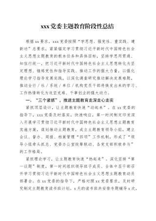 XXX党委主题教育阶段性总结