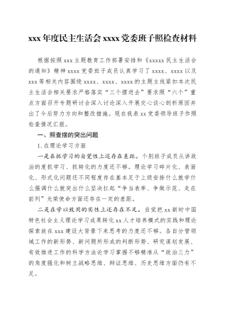 XXX年度民主生活会XXXX党委班子照检查材料