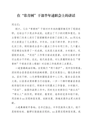 在“常青树”干部半年述职会上的讲话
