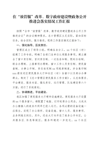 在“放管服”改革、数字政府建设暨政务公开推进会落实情况工作汇报