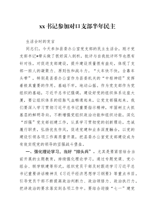XX书记参加对口支部半年民主生活会时的发言