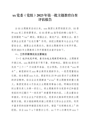 XX党委（党组）2023年第一批主题教育自查评估报告