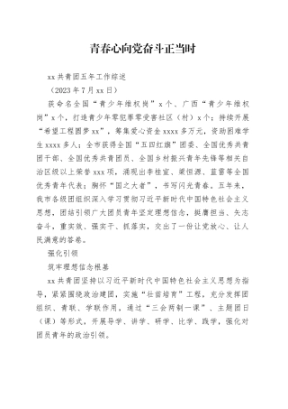 XX共青团五年工作综述