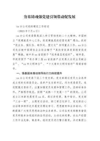 XX分公司党的建设工作综述