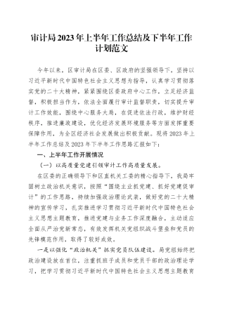 审计局2023年上半年工作总结及下半年计划（汇报报告）