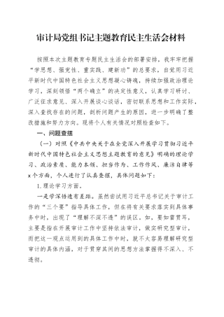 审计局党组书记主题教育民主生活会材料