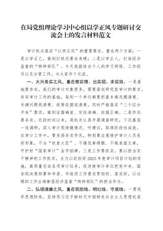审计局党组理论学习中心组主题教育以学正风研讨班发言材料心得体会