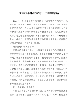 少体校半年度党建工作回顾总结（20230802）