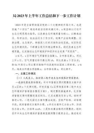 局2023年上半年工作总结和下一步工作计划