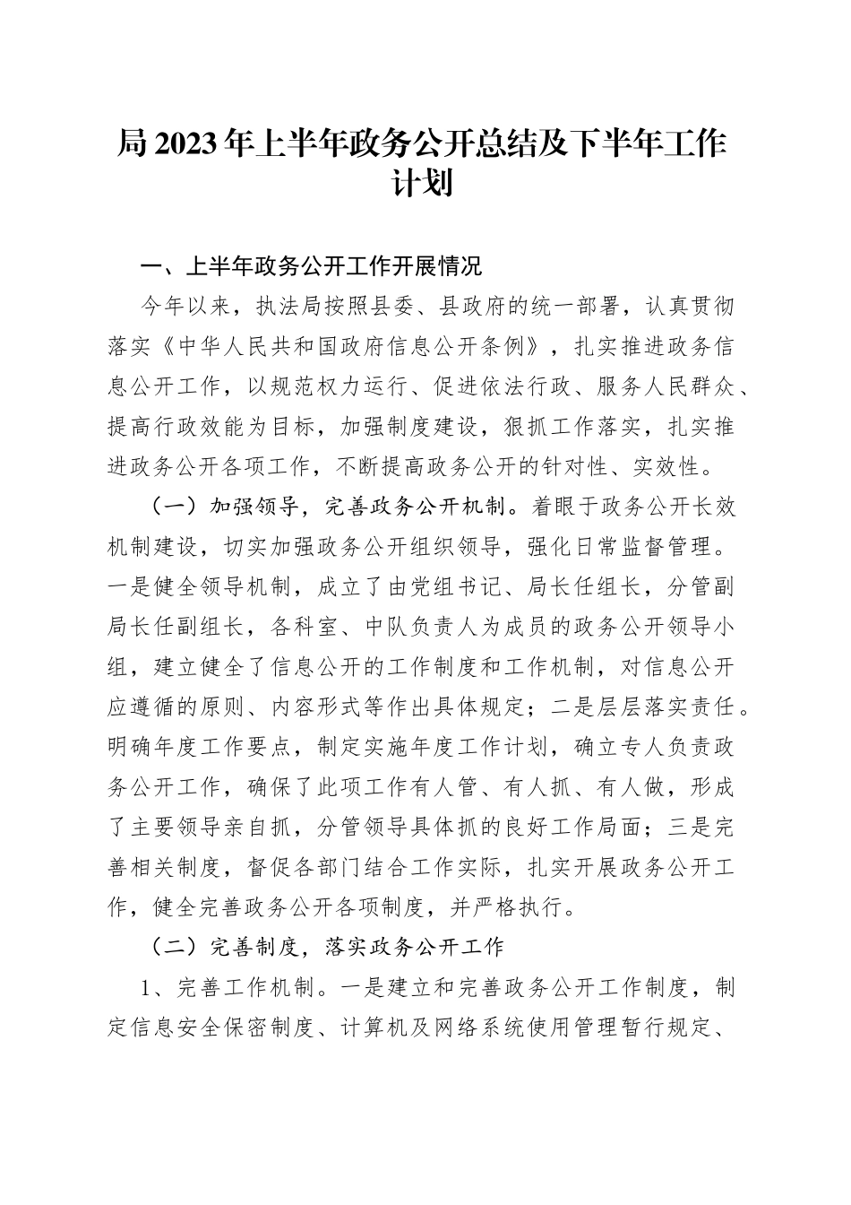 局2023年上半年政务公开总结及下半年工作计划_第1页