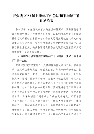 局党委2023年上半年工作总结和下半年计划（汇报报告）
