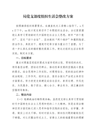 局党支部度组织生活会整改方案