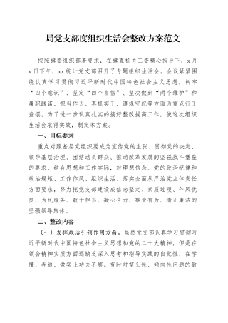 局党支部度组织生活会整改方案工作实施