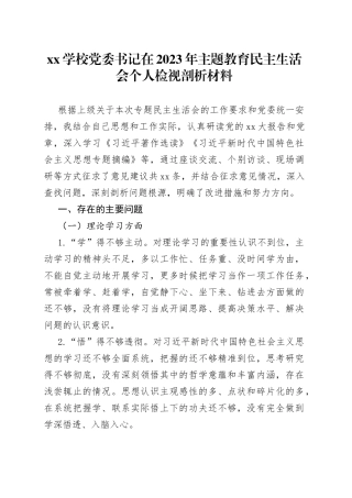 XX学校党委书记在2023年主题教育民主生活会个人检视剖析材料