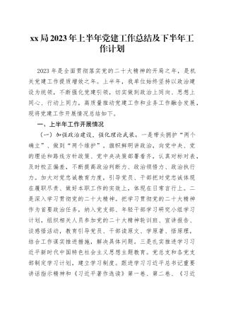 XX局2023年上半年党建工作总结及下半年工作计划