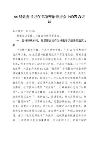 XX局党委书记在专项整治推进会上的发言讲话