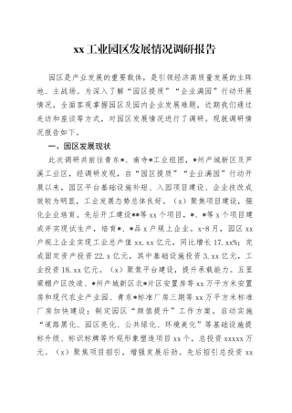 XX工业园区发展情况调研报告