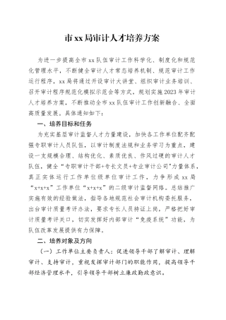 市xx局审计人才培养方案