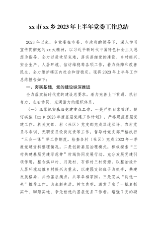 市乡2023年上半年党委工作总结