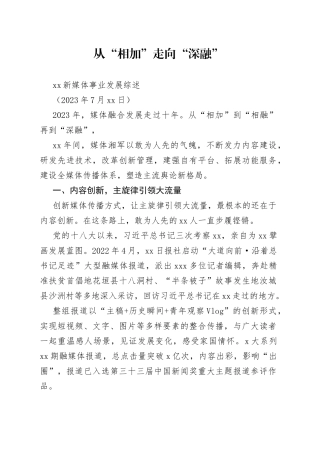 XX新媒体事业发展综述