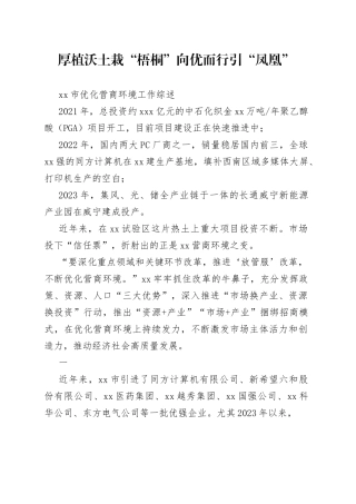 市优化营商环境工作综述