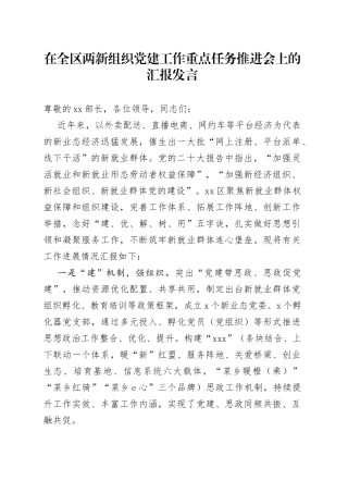 在全区两新组织党建工作重点任务推进会上的汇报发言