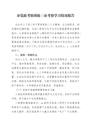 市党政考察团赴三市考察学习情况报告
