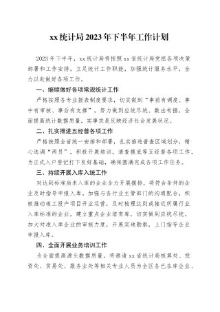 XX统计局2023年下半年工作计划