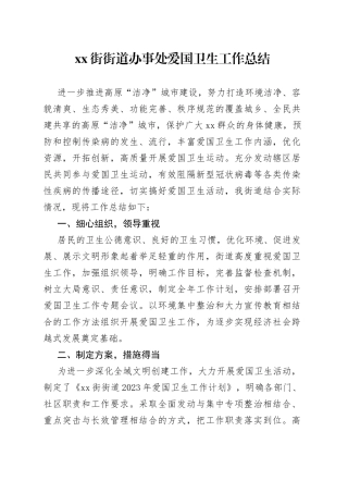 XX街街道办事处爱国卫生工作总结（20230529）