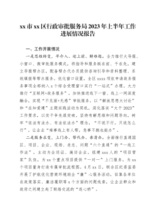 市区行政审批服务局2023年上半年工作进展情况报告