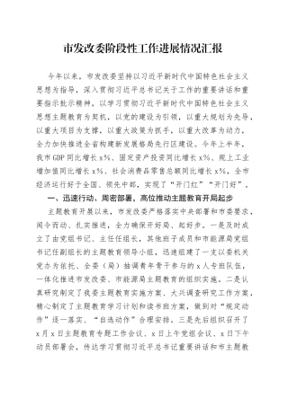 市发改委阶段性工作进展情况汇报