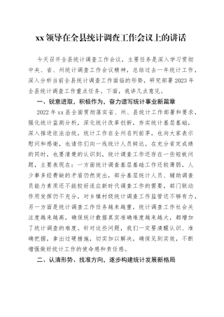 XX领导在全县统计调查工作会议上的讲话