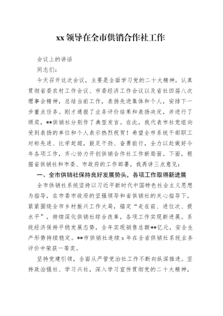 XX领导在全市供销合作社工作会议上的讲话
