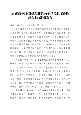 市商务局在被巡回指导单位阶段性工作推进会上的汇报发言