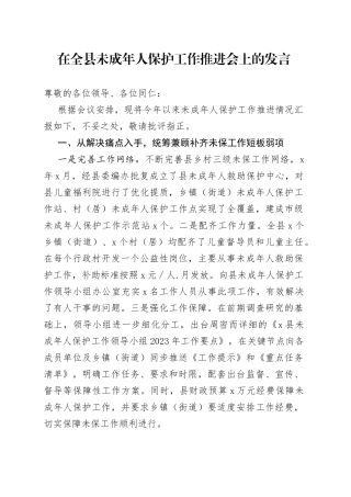 在全县未成年人保护工作推进会上的发言